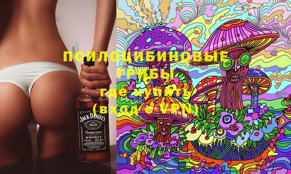 прущие крисы Абаза