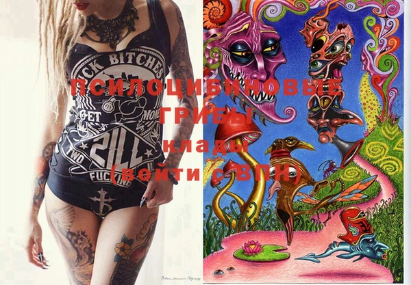 марки lsd Алексеевка