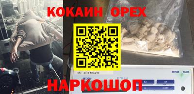 СК Конаково