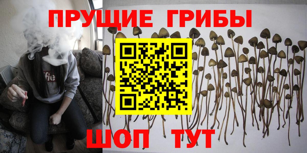 Тулун  Псилоцибиновые грибы мухоморы  Вход с VPN 