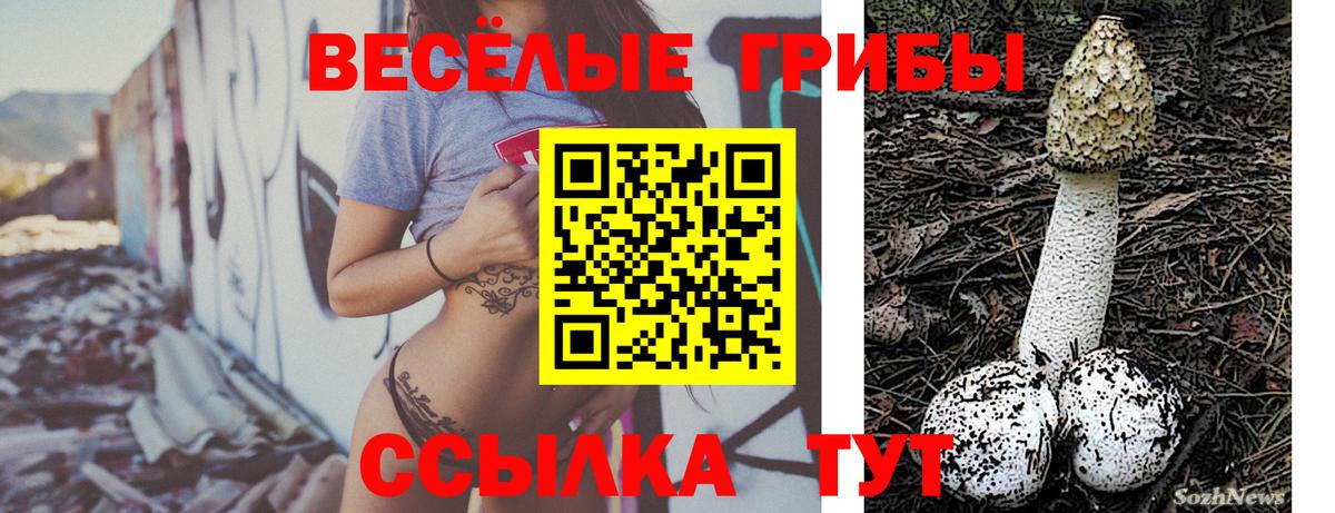 Галлюциногенные грибы GOLDEN TEACHER Тулун